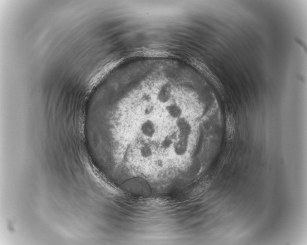 X0000101440533200807281025