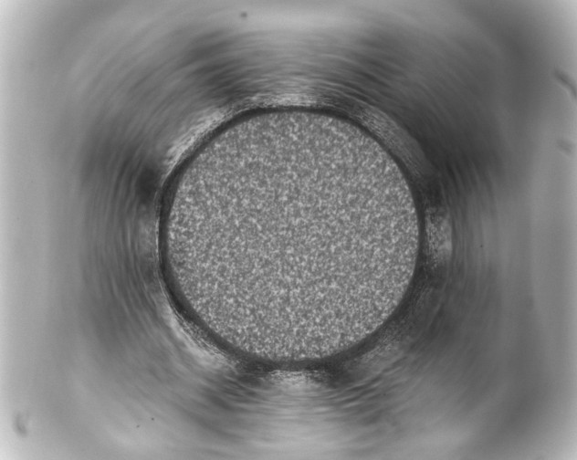 X0000101440534200807281025