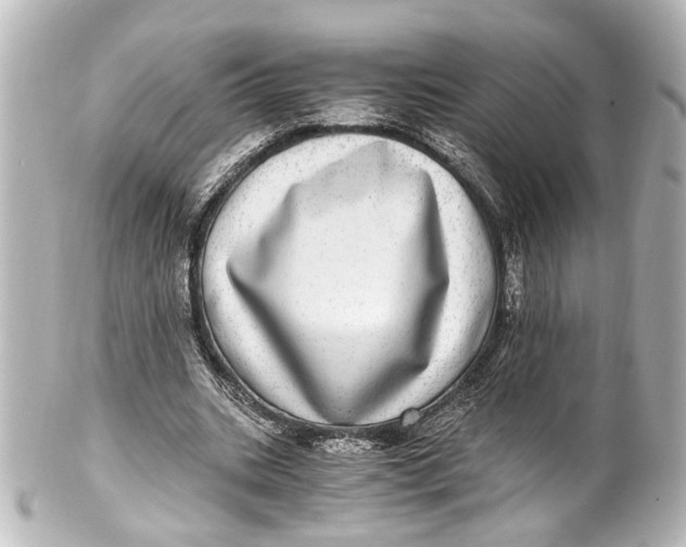 X0000101440535200807281025