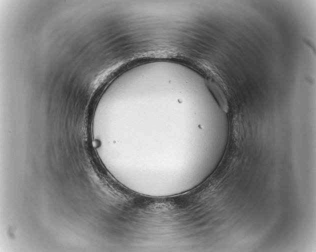 X0000101440536200807281025