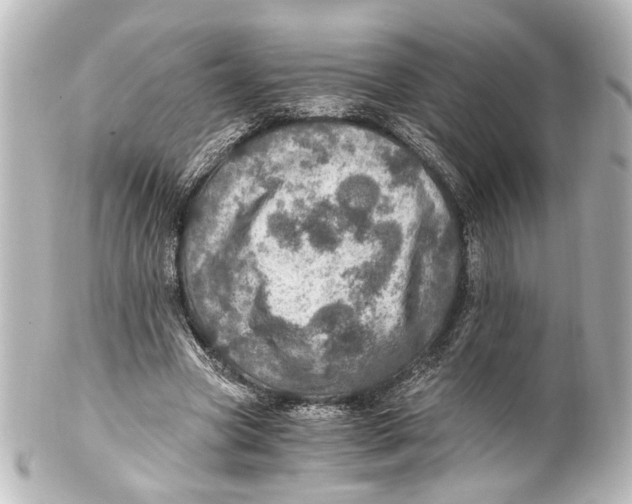 X0000101440537200807281025