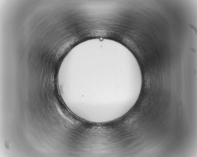 X0000101440538200807281025