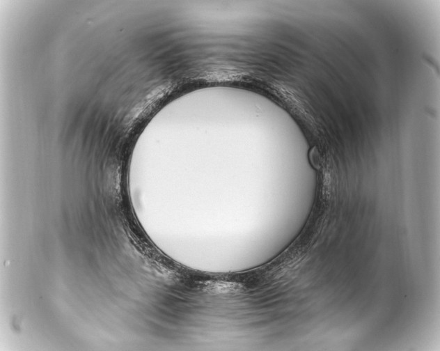 X0000101440539200807281025