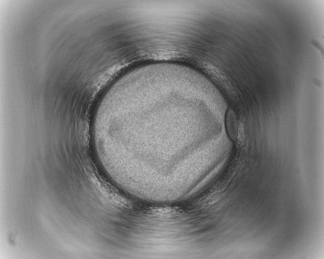 X0000101440540200807281025