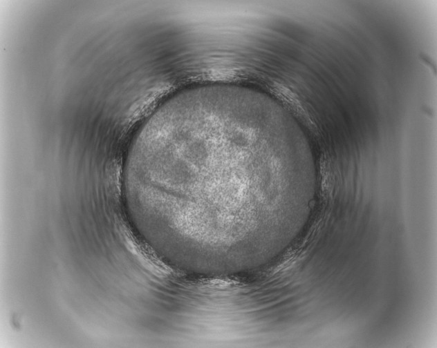 X0000101440542200807281025