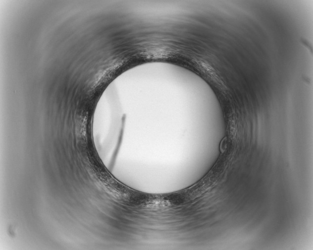 X0000101440543200807281025