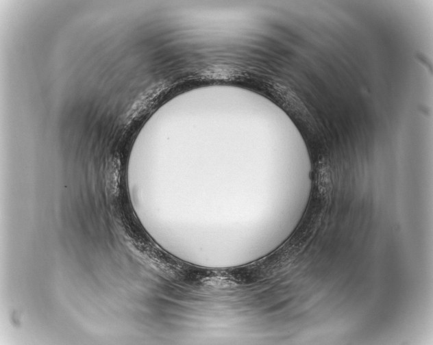 X0000101440544200807281025