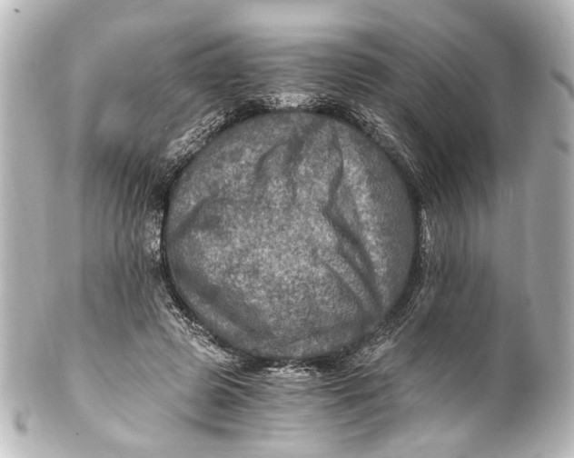 X0000101440545200807281025