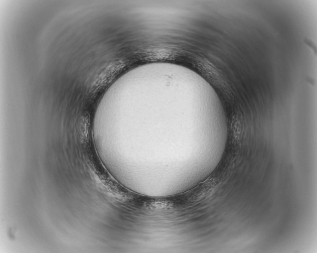 X0000101440546200807281025