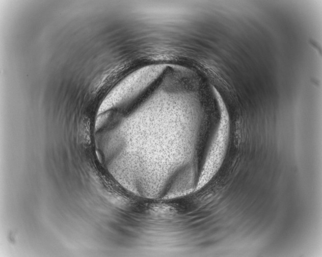 X0000101440547200807281025