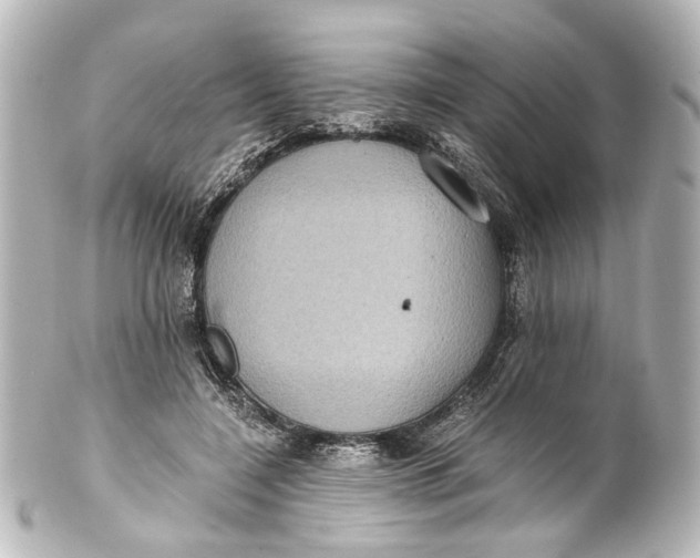 X0000101440548200807281025