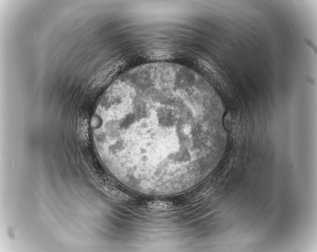 X0000101440549200807281025