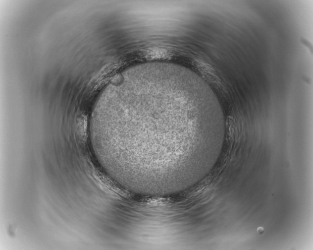 X0000101440550200807281025