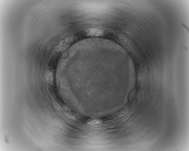 X0000101440551200807281025