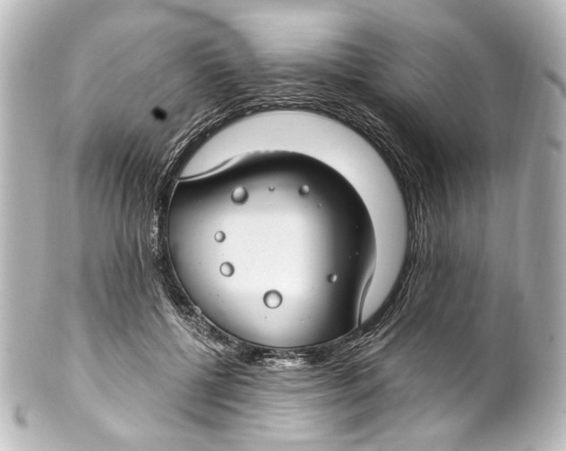 X0000101440552200807281025