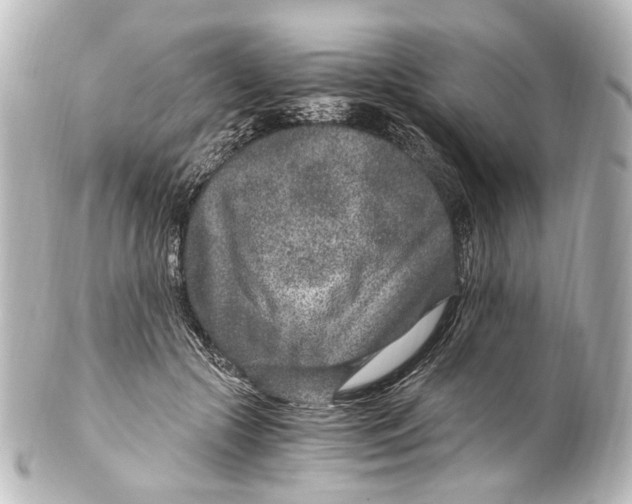 X0000101440553200807281025