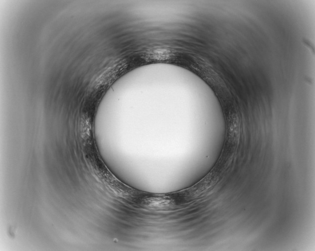 X0000101440555200807281025