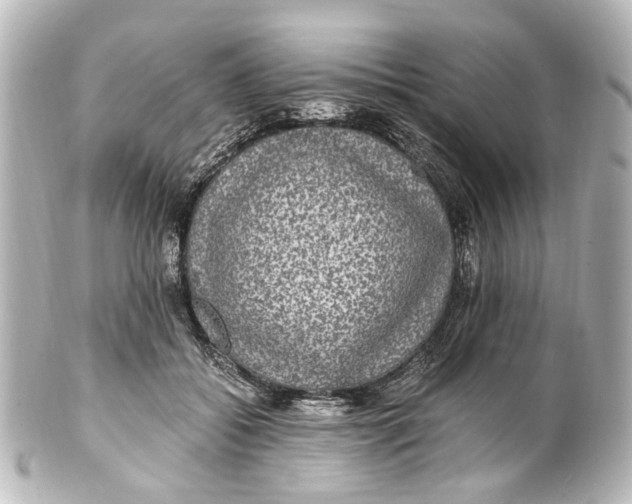 X0000101440556200807281025