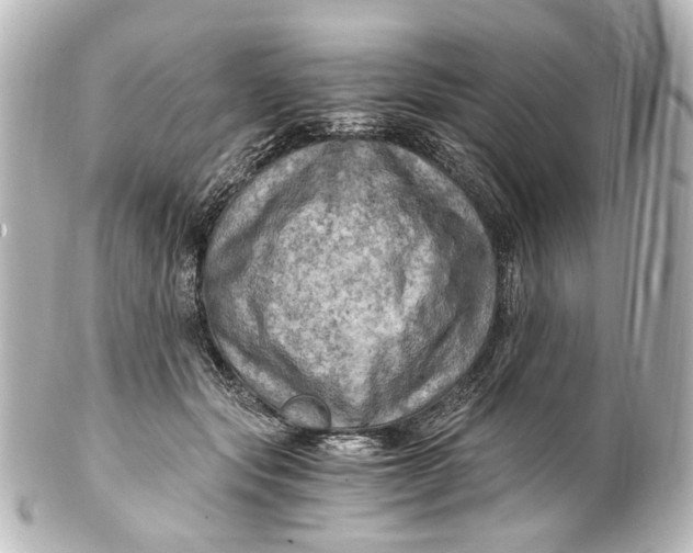 X0000101440557200807281025