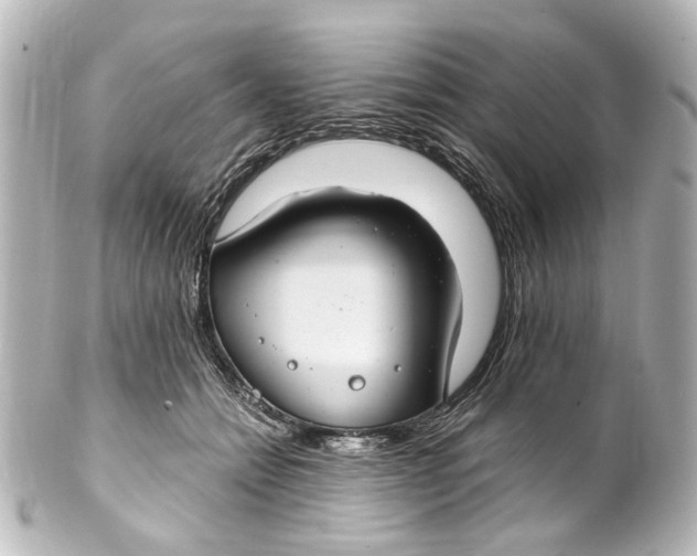 X0000101440558200807281025