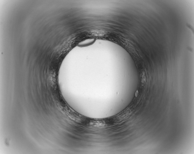 X0000101440559200807281025