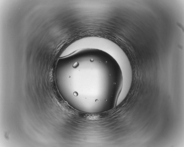 X0000101440560200807281025