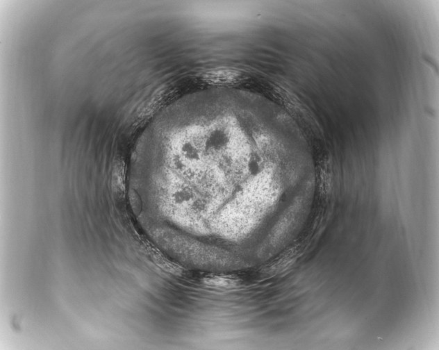 X0000101440561200807281025