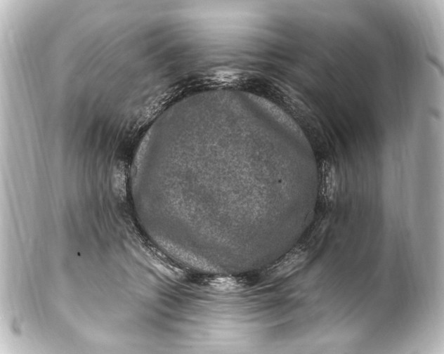 X0000101440562200807281025