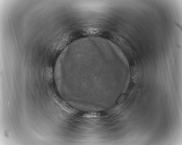 X0000101440563200807281025