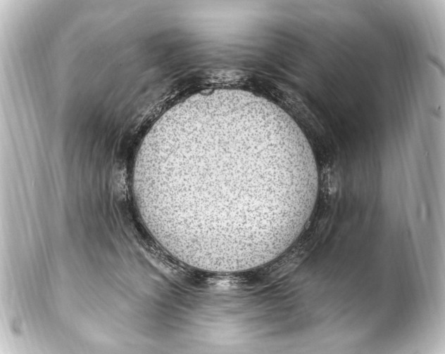 X0000101440564200807281025