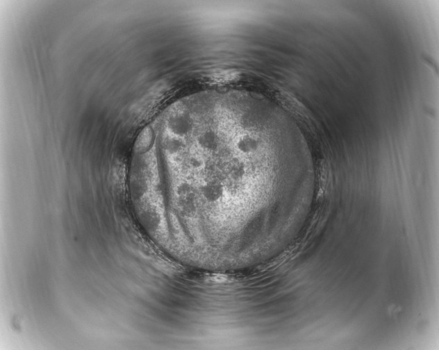 X0000101440565200807281025