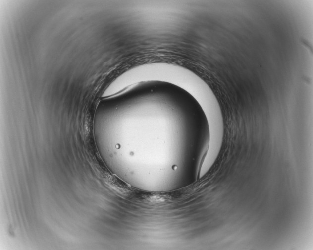 X0000101440566200807281025