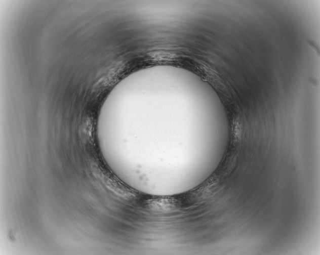 X0000101440567200807281025