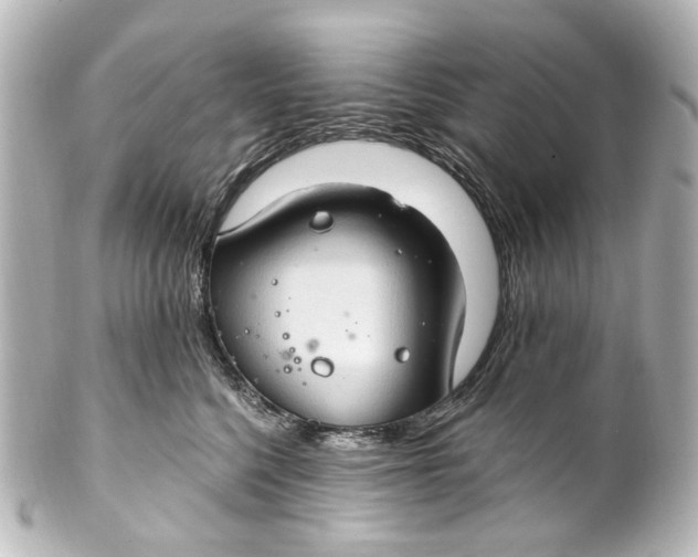 X0000101440568200807281025