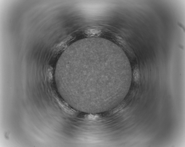 X0000101440570200807281025