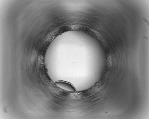 X0000101440571200807281025