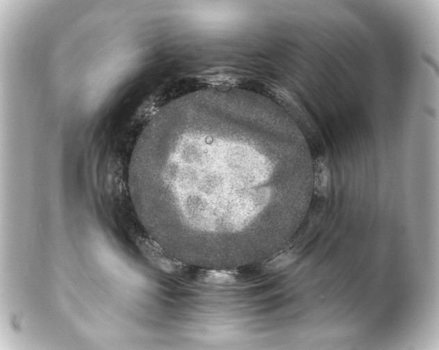 X0000101440573200807281025