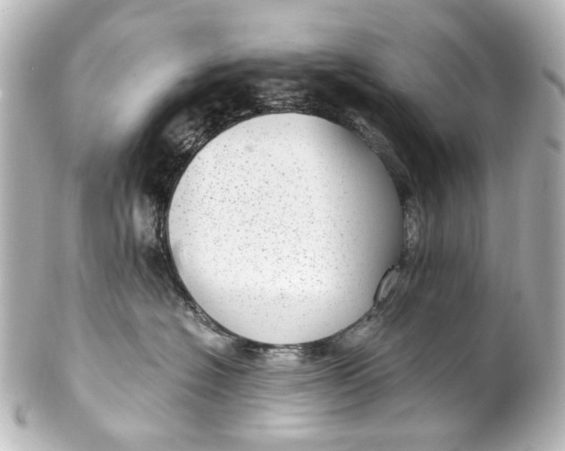 X0000101440574200807281025