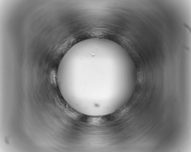 X0000101440575200807281025