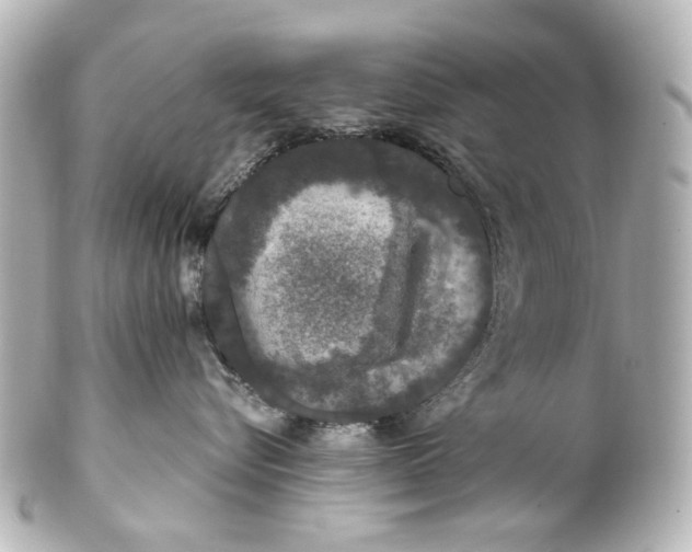 X0000101440576200807281025