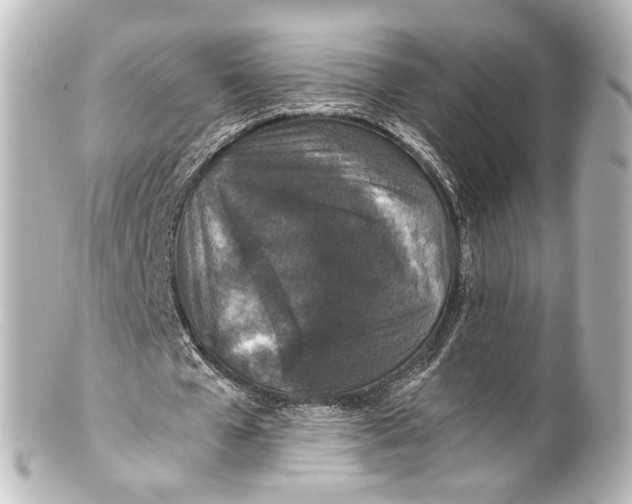 X0000101440577200807281025