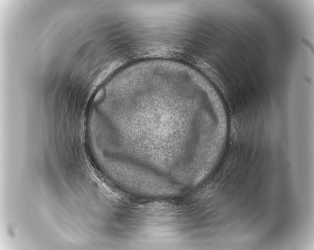 X0000101440578200807281025