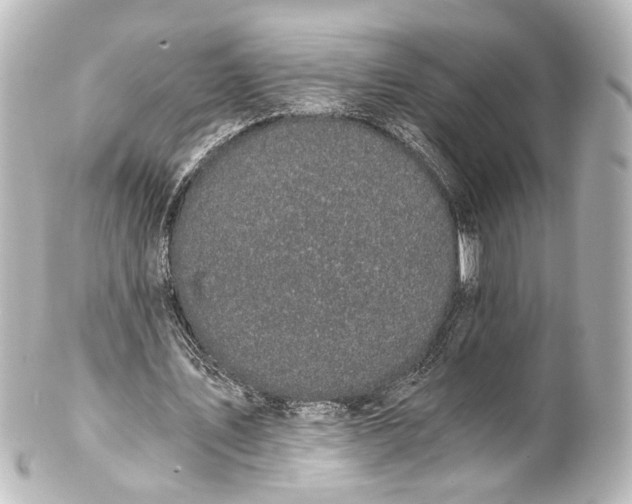 X0000101440579200807281025