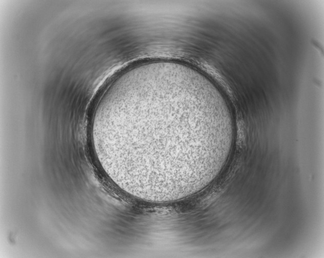 X0000101440580200807281025