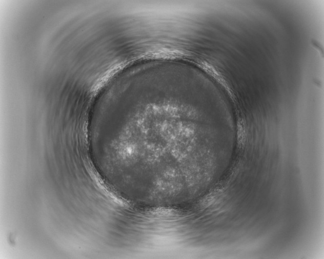 X0000101440581200807281025