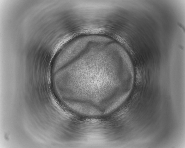 X0000101440582200807281025