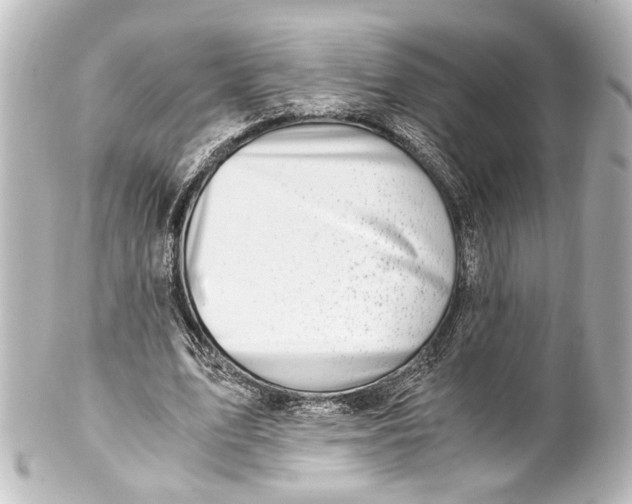 X0000101440583200807281025