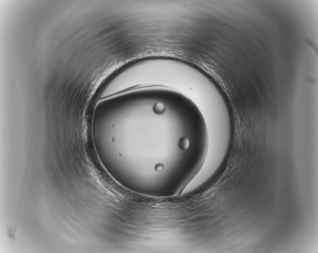 X0000101440584200807281025