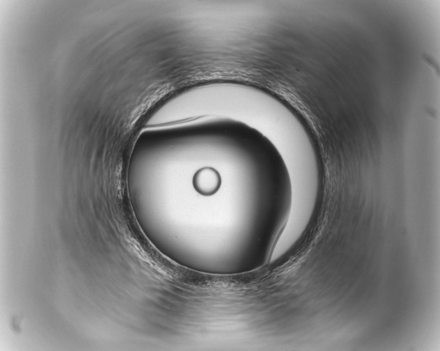 X0000101440585200807281025