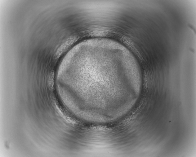 X0000101440586200807281024